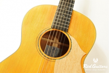  VN-30 Blues